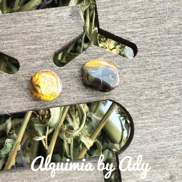 Alquimia Jewelry - Minimalist tiger's eye stud earrings 925 silver post